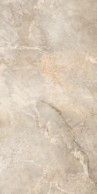 Керамогранит 6502 Marble Silver Polished 60x120 Leopard полированный универсальный УТ-00027441