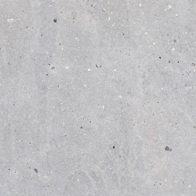 Керамогранит Meesel Silver 66x66 Codicer матовый напольный G000492