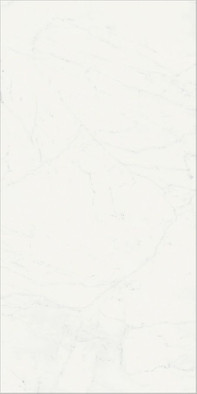 Керамогранит Шарм Делюкс Бьянко Микеланжело 80x160 Люкс Charme Deluxe Bianco Michelangelo 80x160 Lux напольный фото Керамогранит Шарм Делюкс Бьянко Микеланжело 80x160 Люкс Charme Deluxe Bianco Michelangelo 80x160 Lux напольный