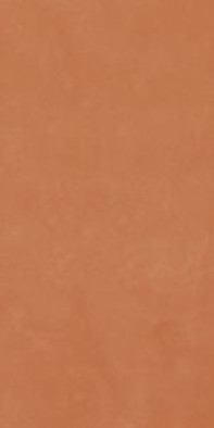 Керамогранит Rtn6Aranc12Rm 60х120 Imola Ceramica Retina матовый универсальный фото Керамогранит Rtn6Aranc12Rm 60х120 Imola Ceramica Retina матовый универсальный