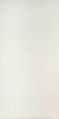 Керамогранит Bone Sardeni 59.8х119.8 Fakhar матовый универсальная плитка 00-00049835