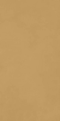 Керамогранит RA5D Decora Senape Rett 60x120 Marazzi Ragno матовый универсальный УТ-00027972 фото Керамогранит RA5D Decora Senape Rett 60x120 Marazzi Ragno матовый универсальный УТ-00027972