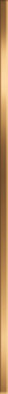 Бордюр Tenor Gold BW0TNR09 1.3x60 глянцевый керамический фото Бордюр Tenor Gold BW0TNR09 1.3x60 глянцевый керамический