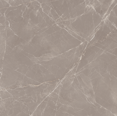 Керамогранит Slabs Prestige Dove High Glossy 120х120 Maimoon полированный универсальный фото Керамогранит Slabs Prestige Dove High Glossy 120х120 Maimoon полированный универсальный