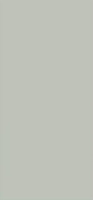 Настенная плитка Neve Grys Pol. Paradyz Ceramika 25x75 глянцевая керамическая 5902610516825