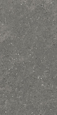 Керамогранит Marilia Nero 60x120 Maimoon Carving универсальная плитка фото Керамогранит Marilia Nero 60x120 Maimoon Carving универсальная плитка