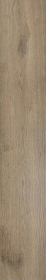 Керамогранит Hardwood Nogal Rect. 20x120 напольный глазурованный, матовый