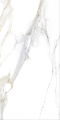 Керамогранит Aurora Leviglass Gold 30х60 Geotiles полированный универсальный фото Керамогранит Aurora Leviglass Gold 30х60 Geotiles полированный универсальный