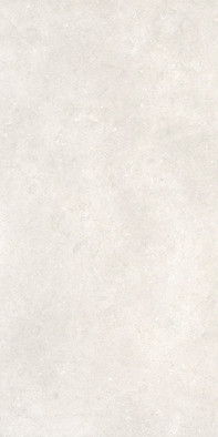 Керамогранит Serica Bone 60х120 Dado Ceramica матовый универсальная плитка 304278
