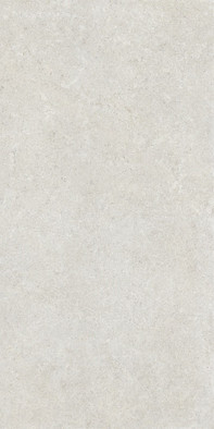 Керамогранит Noordal Pearl 59.5x119.2 Colorker глазурованный, матовый, рельефный (рустикальный) универсальная плитка 234521