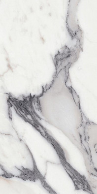 Керамогранит Origines De Rex Argent Glossy 30x60 Rett (769851) REX Ceramiche полированный универсальный