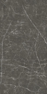Керамогранит Graphite Natural 120x240 универсальный сатинированный фото Керамогранит Graphite Natural 120x240 универсальный сатинированный