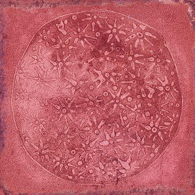 Декор Carlo Granate-B 20x20 глянцевый керамический фото Декор Carlo Granate-B 20x20 глянцевый керамический
