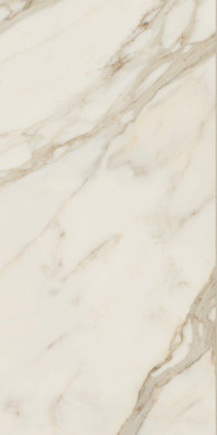 Керамогранит Anima Futura Golden White 60x120 Liscio Matt Caesar матовый универсальная плитка AIAT фото Керамогранит Anima Futura Golden White 60x120 Liscio Matt Caesar матовый универсальная плитка AIAT