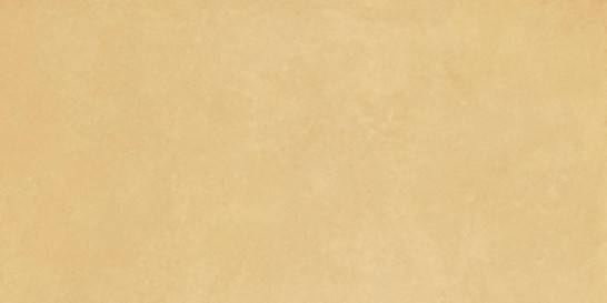 Керамогранит Rtn6Senap12Rm 60х120 Imola Ceramica матовый универсальный