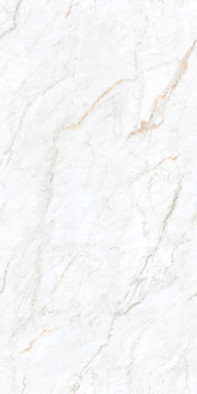 Керамогранит Arden White Velvet 60x120 Leopard глазурованный, матовый универсальная плитка n179655