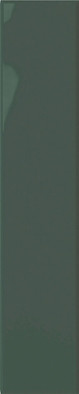 Настенная плитка Plinto Green Gloss 10.7х54.2 DNA Tiles глянцевая керамическая 78803274