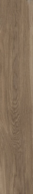 Керамогранит Bloom Cognac Sp 24х151x0.9 M-104 Museum by Peronda матовый, рельефный (рустикальный) универсальная плитка 41729