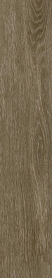 Керамогранит Legno Antico 20x120 Azuvi матовый напольный G010438