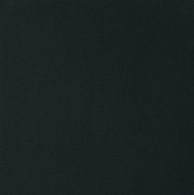 Керамогранит Black and White Black Naturale 60x60 Ret (755474) Floor Gres матовый универсальный