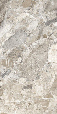Керамогранит Dreamy Mocha AS 60x120 матовый фото Керамогранит Dreamy Mocha AS 60x120 матовый