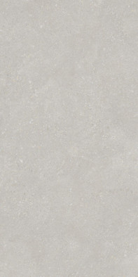 Керамогранит Pietra Light Grey 60х120 Protiles матовый универсальная плитка PT12F7048