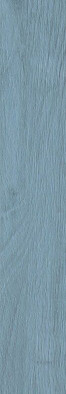 Керамогранит Керамический гранит Nebraska Colours Light Blue 9.8x59,3 универсальный глазурованный, матовый