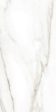 Настенная плитка TWU2550EPH04 Euphoria 24.9х50 Almaceramica матовая керамическая