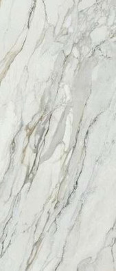 Керамогранит Arabescato Corchia Pol Rect 120х278 APE Ceramica полированный универсальный фото Керамогранит Arabescato Corchia Pol Rect 120х278 APE Ceramica полированный универсальный