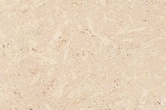 Пробковая панель Corkstyle EcoCork Madeira Creme 915x305 33 класс фото Пробковая панель Corkstyle EcoCork Madeira Creme 915x305 33 класс