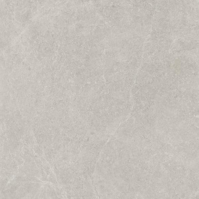 Керамогранит U118 Light Grey Gres Szkl. Rekt. Półpoler 59,8x59,8 g1 Paradyz Ceramika Uniwersalne лаппатированный (полуполированный) универсальная плитка RHR-598X598-1-U118.GRLG