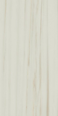 Керамогранит Empire Lasa 60x120/Эмпаир Ласа 60x120 матовый фото Керамогранит Empire Lasa 60x120/Эмпаир Ласа 60x120 матовый