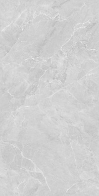 Керамогранит Lithos Light Grey Sugar Polished 60x120 Realistik полированный универсальная плитка 00000086417