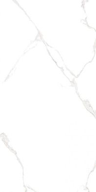 Настенная плитка Elemento Bianco Carrara WT9ELT00 AltaCera 25x50 глянцевая керамическая