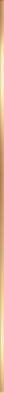 Бордюр Steel Gold BW0SST09 1.2х120х8 Delacora глянцевый керамический фото Бордюр Steel Gold BW0SST09 1.2х120х8 Delacora глянцевый керамический