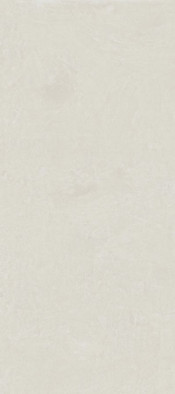 Керамогранит Rinascente Resin White 120x278 Atlas Concorde матовый универсальная плитка 600180000055