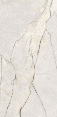 Керамогранит Epoque 21 Lilac White Ant R 60x120 Ariana Ceramica лаппатированный (полуполированный) универсальный PF60009343