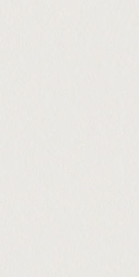 Керамогранит SCW Flamed 60x120 41ZERO42 матовый универсальный 4101023