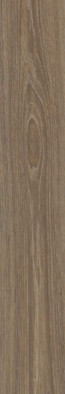 Керамогранит Triana Rect Canela 20x120 APE Ceramica матовый напольный