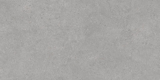 Керамогранит DL590000R Фондамента серый светлый обрезной 238.5х119.5 Kerama Marazzi матовый напольная плитка фото Керамогранит DL590000R Фондамента серый светлый обрезной 238.5х119.5 Kerama Marazzi матовый напольная плитка