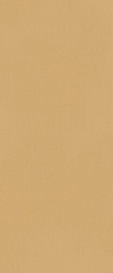 Настенная плитка True Color Caramel Matt 50x120 Fap Ceramiche матовая керамическая fTDS