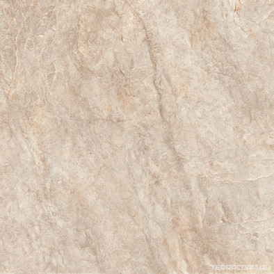 Керамогранит Agra6 120TP LPM 120x120 La Faenza Monoceram сатинированный универсальная плитка 201369