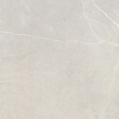 Керамогранит Bright And Shiny BB6NTT9101P Ntceramic 60х60 полированный универсальный