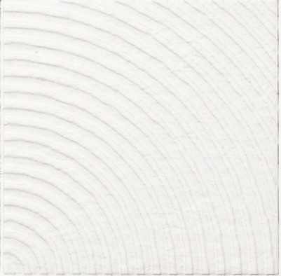Керамогранит Drante Natural 20x20 APE Ceramica Esencia Material матовый настенный A040212