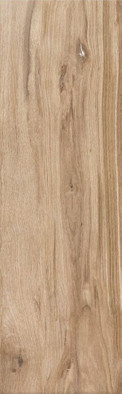 Керамогранит Maplewood глаз, бежевый (C-MW4M112D) 18,5х59,8 матовый фото Керамогранит Maplewood глаз, бежевый (C-MW4M112D) 18,5х59,8 матовый
