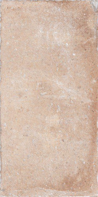 Керамогранит Tscn Certaldo 20.3x40.6