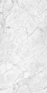Керамогранит Infinity Glacier Map 4D 60х120 NT Ceramic матовый универсальная плитка NTTHS99807D фото Керамогранит Infinity Glacier Map 4D 60х120 NT Ceramic матовый универсальная плитка NTTHS99807D