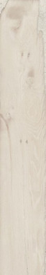 Керамогранит Sbiancato Provenza 20x120 матовый универсальный EGNU