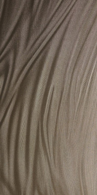 Керамогранит Luce Gold 100x300 Metal Ariostea матовый универсальная плитка IG6P310533