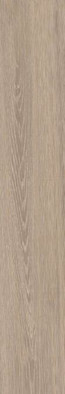 Керамогранит Sabina Amber 20x120 Dual Gres матовый напольный DG_SA_AM
